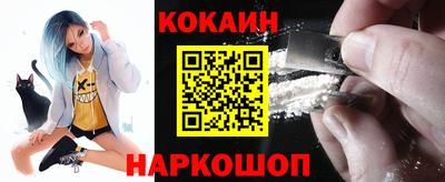 крисы Будённовск