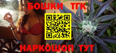 крисы Будённовск