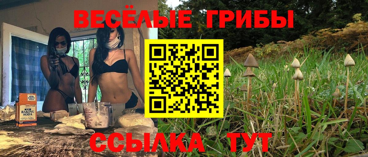 Псилоцибиновые грибы прущие грибы Прохладный