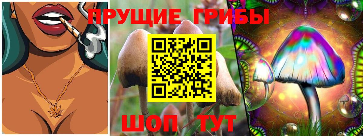 Псилоцибиновые грибы ЛСД  даркнет сайт  Прохладный  Вход с VPN 